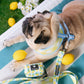 Frenchie Duo Reversible Harness - Lemon Tree