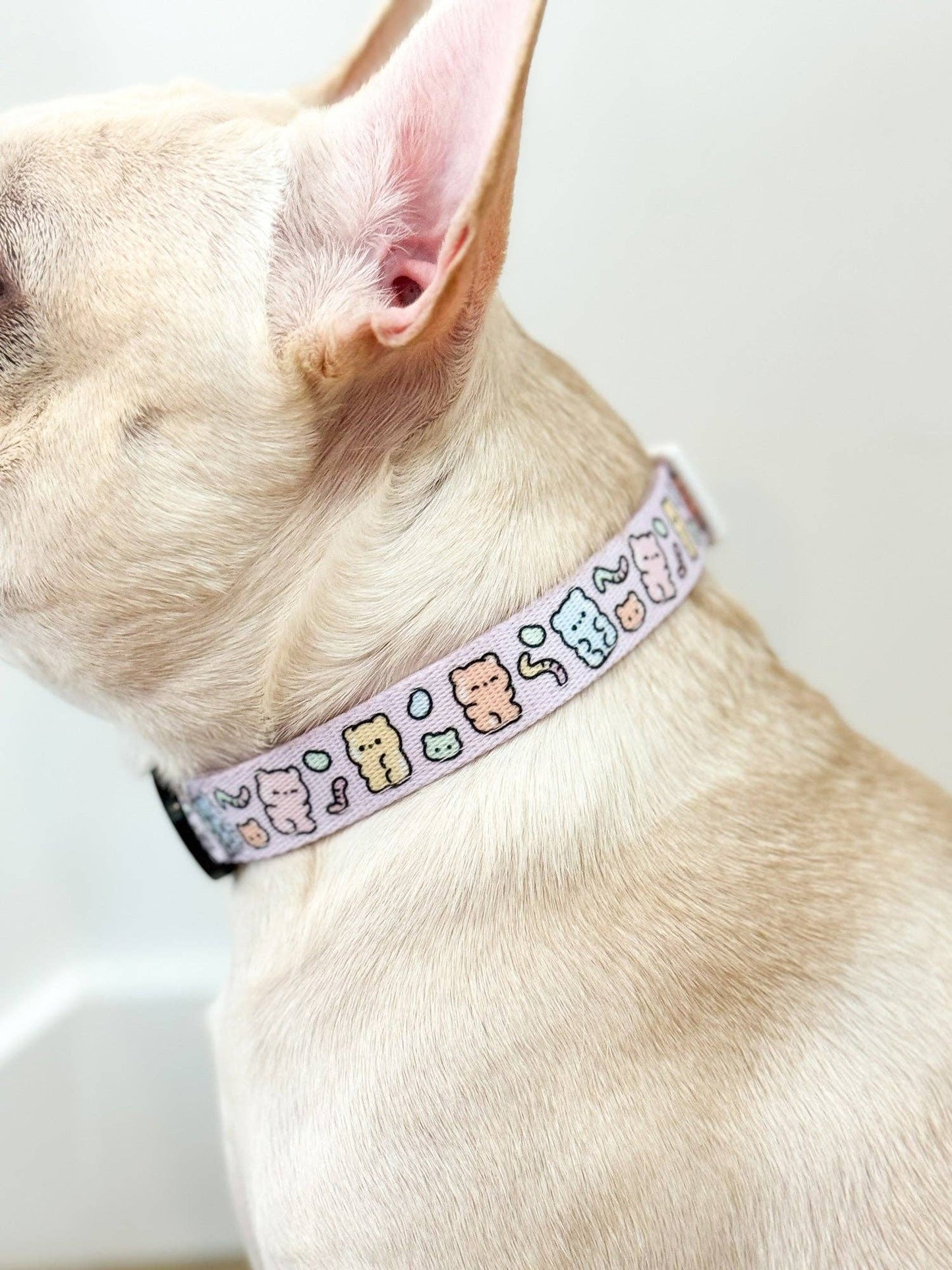 Gummy Bear Dog Collar