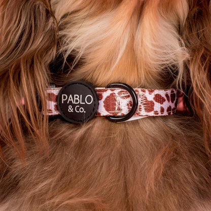 Rodeo Dog Collar