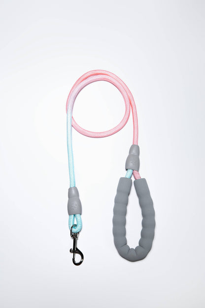 Gradient Pink/Blue Walk Kit Leash and Harness