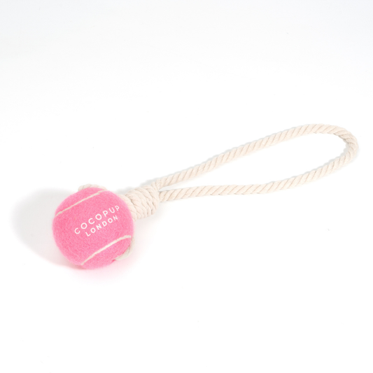 Tennis Ball Rope Toy - Assorted Colors