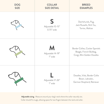 Footballs and Stars Game Day Collar