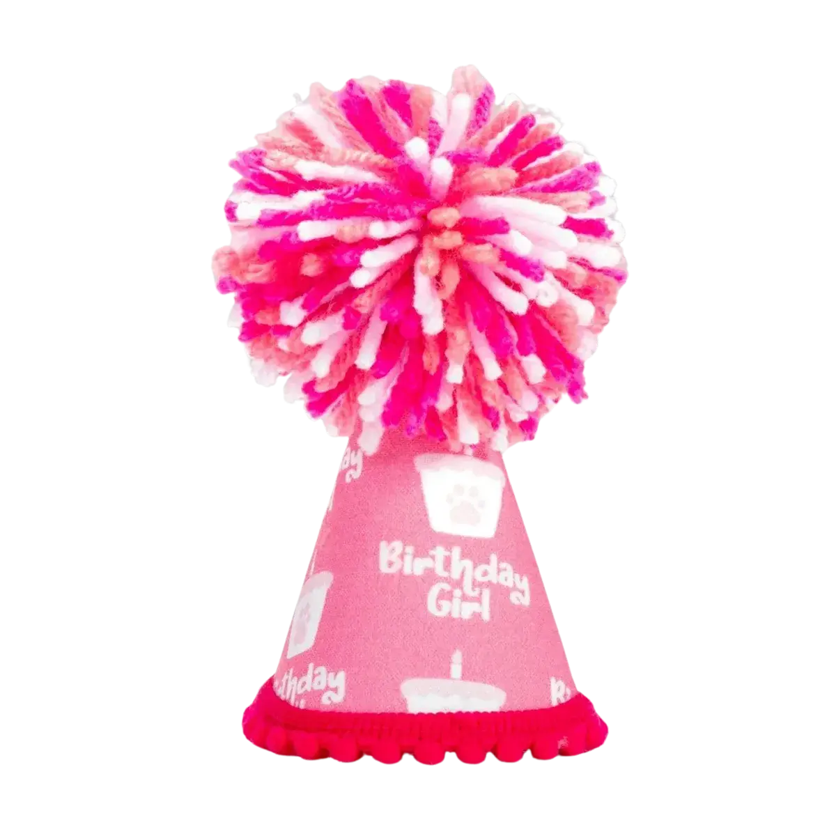 Birthday Girl Pink Pom Party Hat