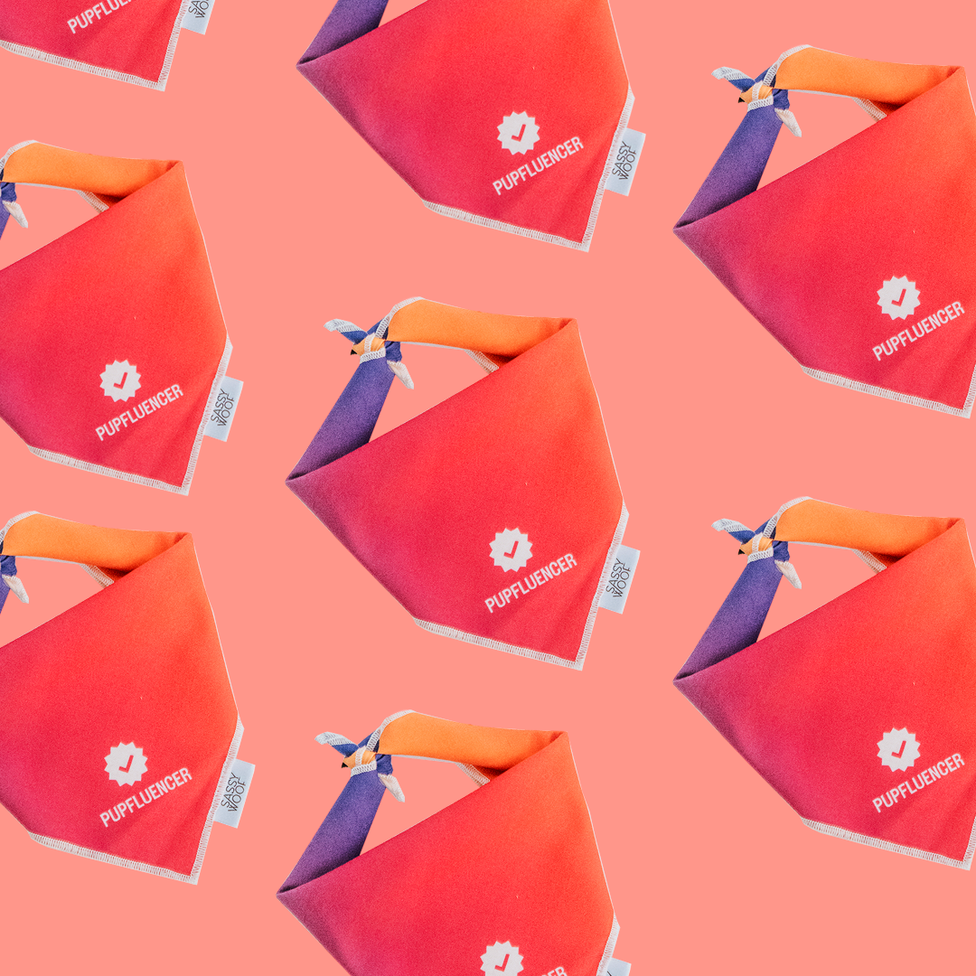 Pupfluencer Dog Bandana