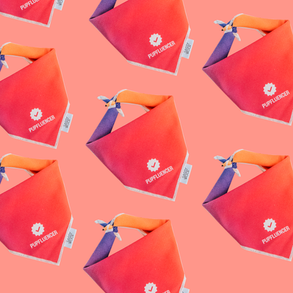 Pupfluencer Dog Bandana