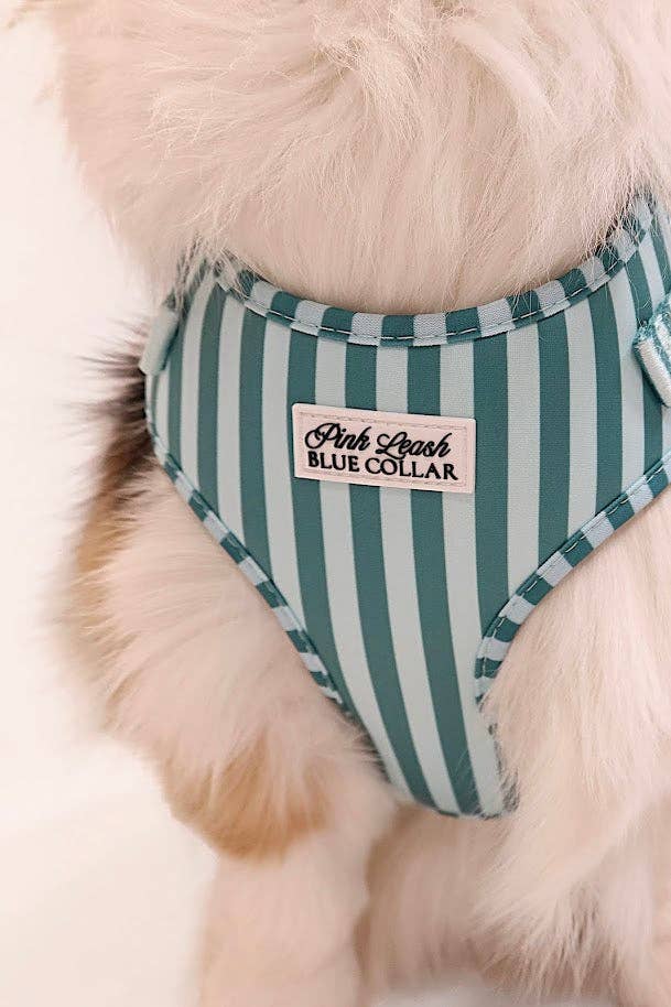 Mint and Green Striped Harness