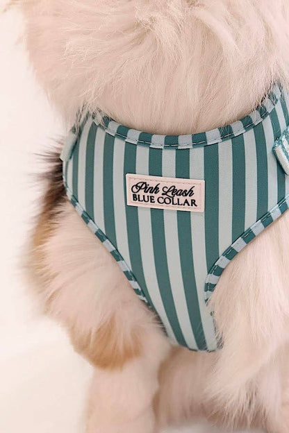Mint and Green Striped Harness