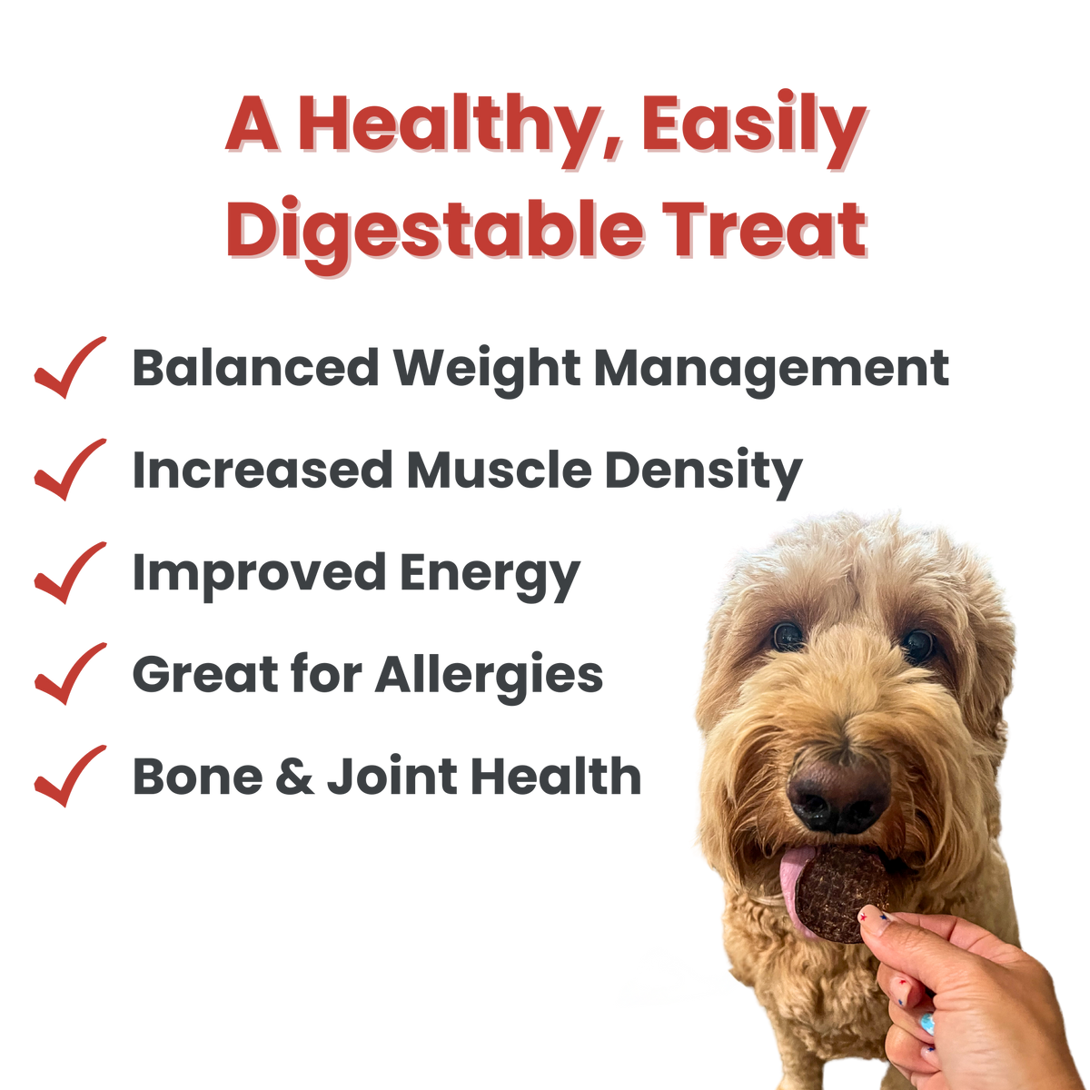Beef Chips Dog Treats 12oz