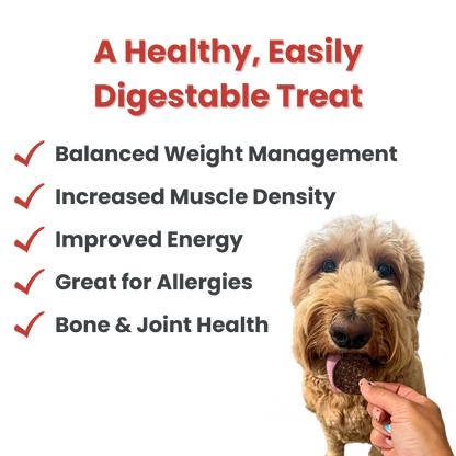 Beef Chips Dog Treats 12oz