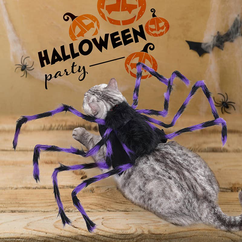 Spider Dog Costume