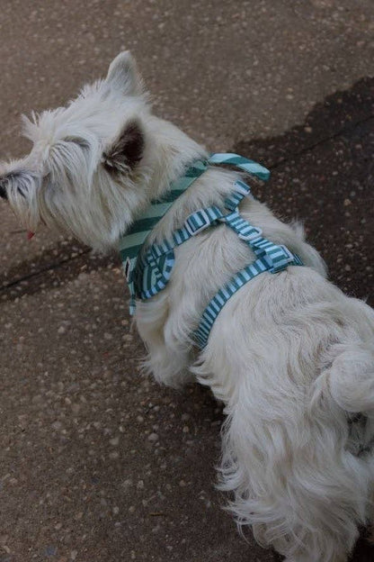 Mint and Green Striped Harness