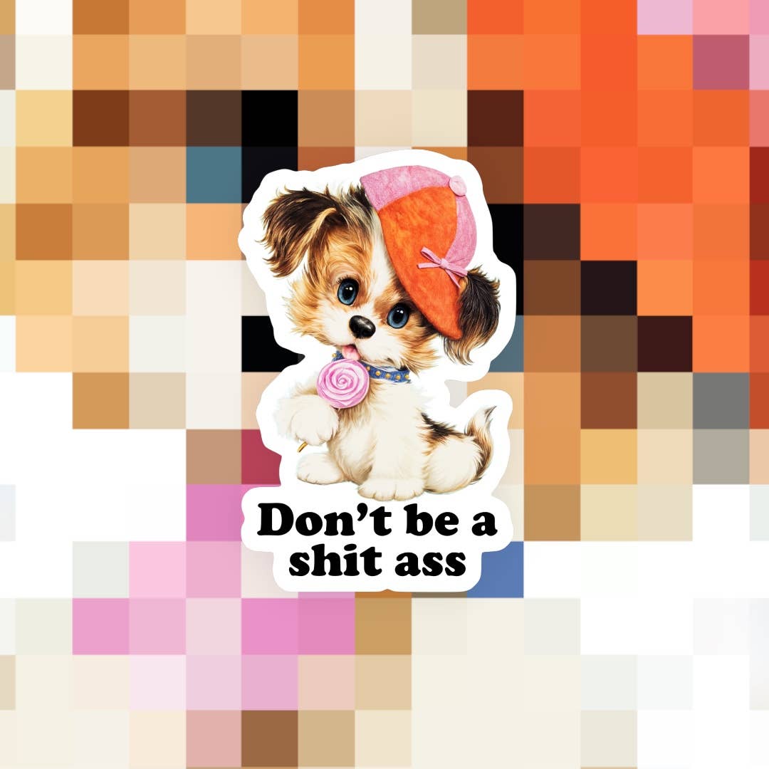 Don’t Be a Sh*t Ass Sticker