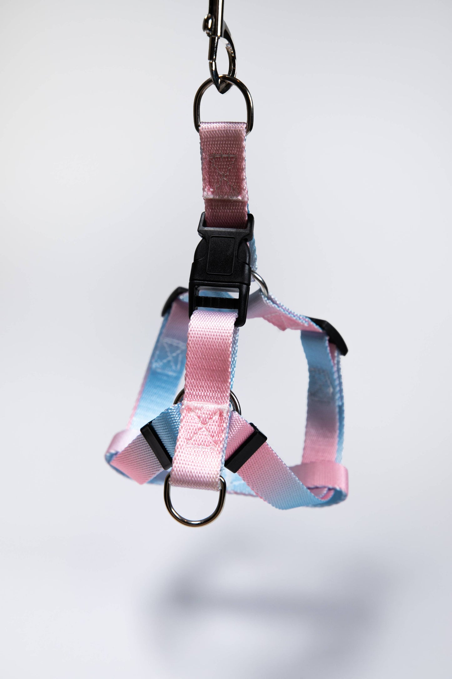 Gradient Pink/Blue Walk Kit Leash and Harness
