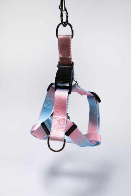 Gradient Pink/Blue Walk Kit Leash and Harness