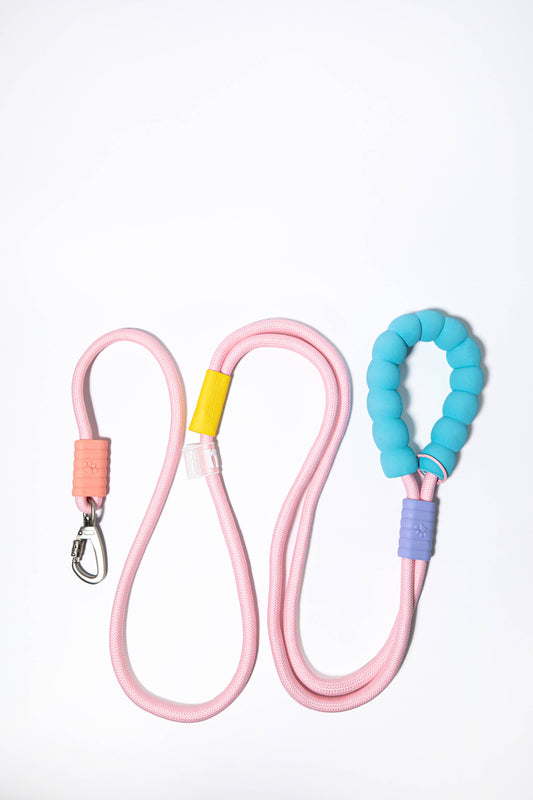 Dopamine Blue/Pink Dog Leash