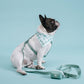 Frenchie Cooling Bandana - Sage Checkered