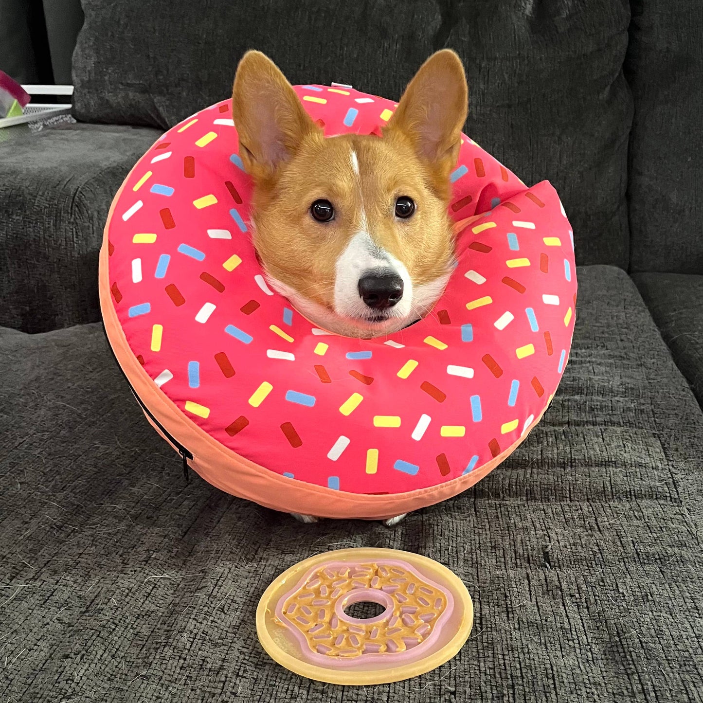 Donut Lick Mat - Assorted Colors