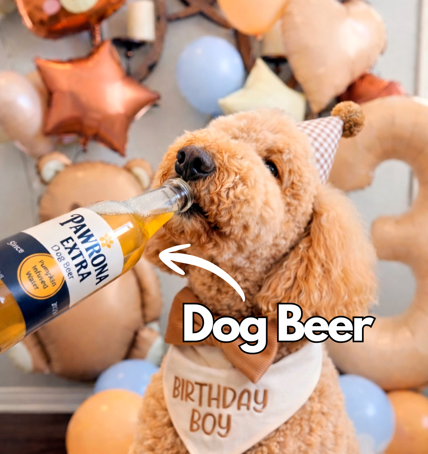 Paw-Rona Dog Beer 12oz  Pumpkin 