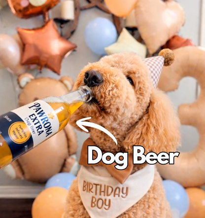 Paw-Rona Dog Beer 12oz  Pumpkin 