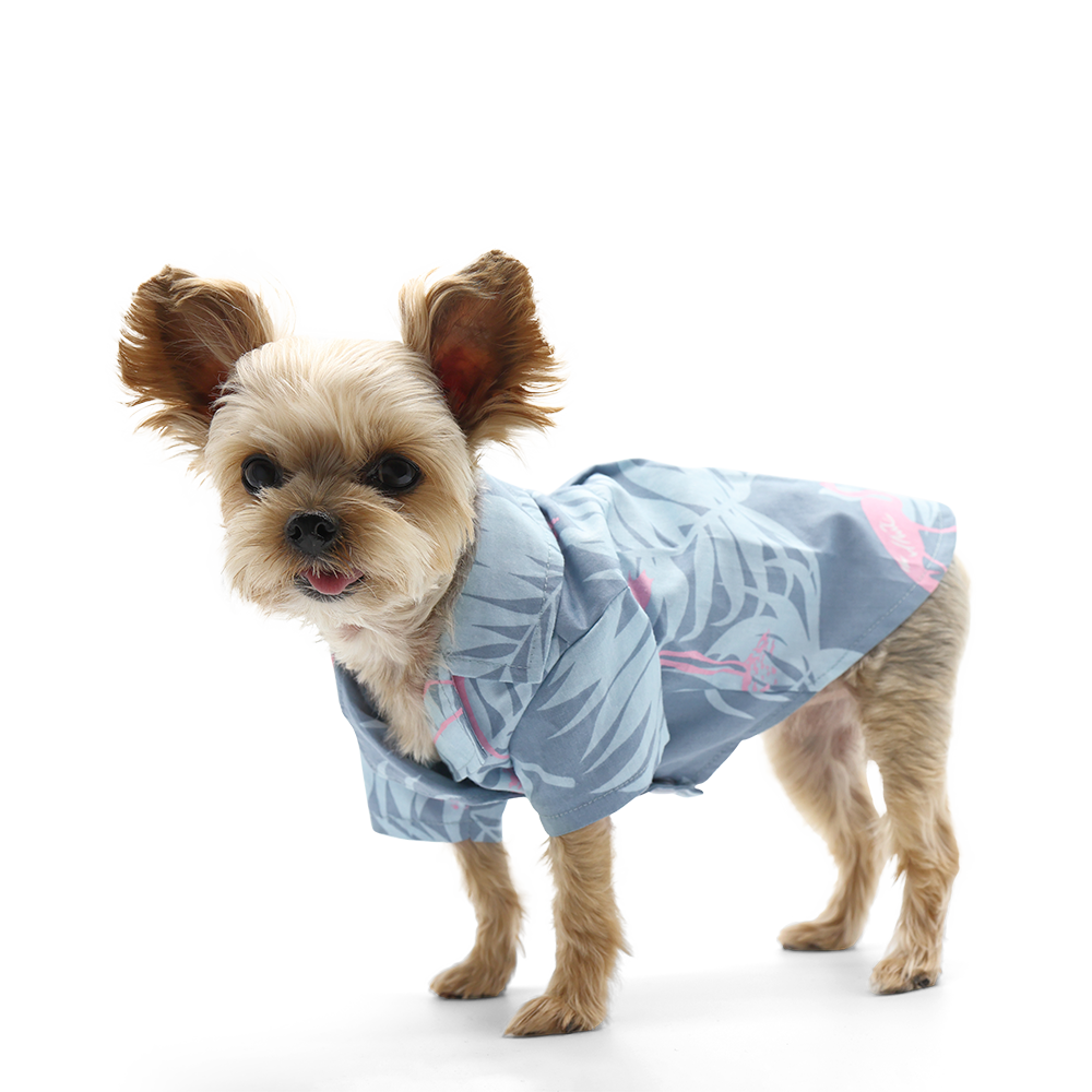 Camiseta para perro con diseño de flamenco