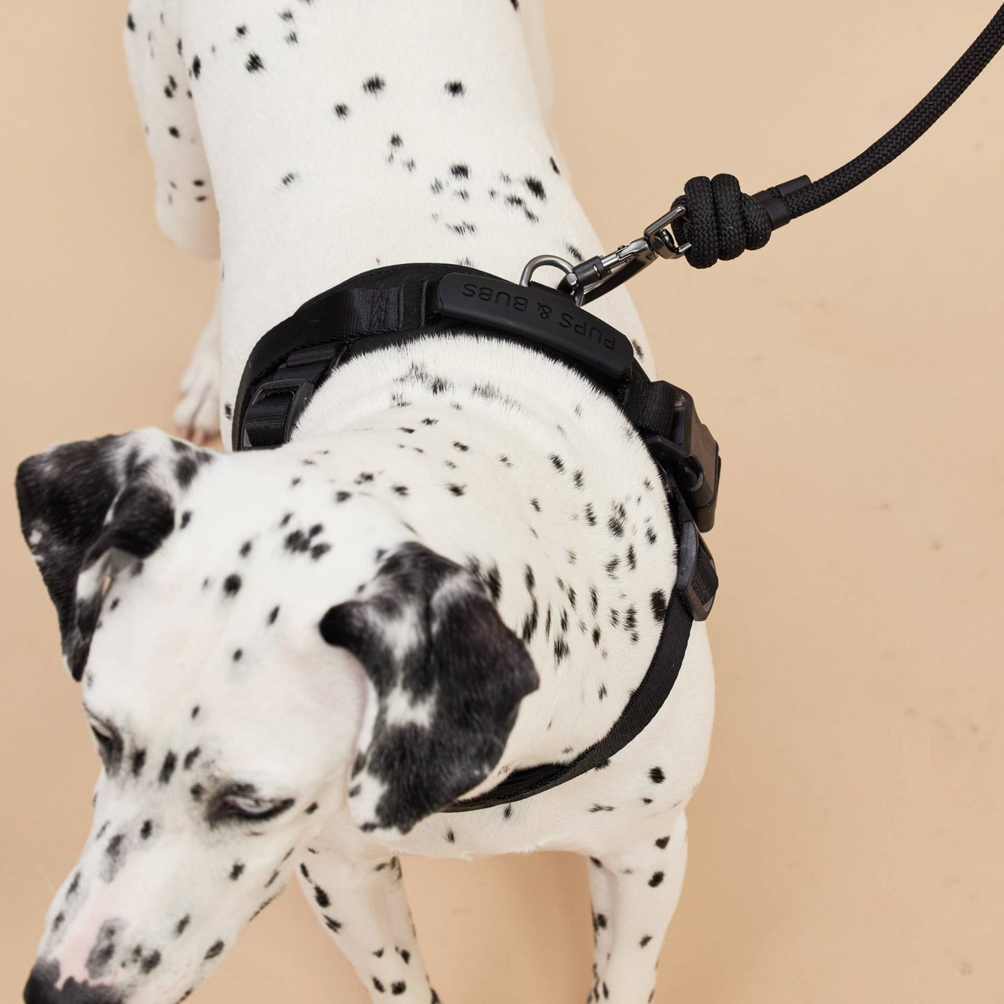 Rover Dog Harness