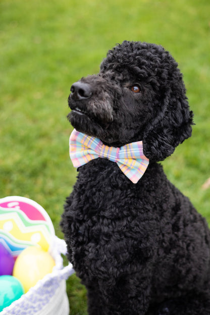 Spring Pastel Plaid Dog Bowtie
