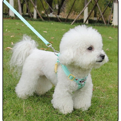 Small Dog Vest Harness with Leash