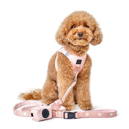 3-in-1 City Dog Leash - Hearts