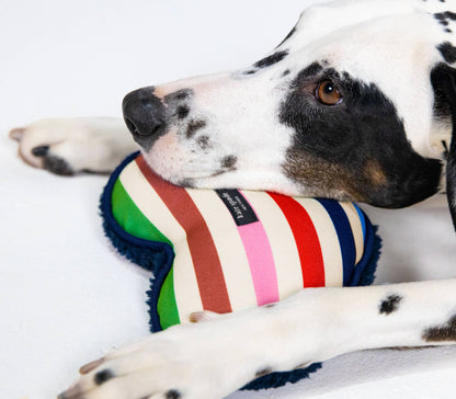 Heart Dog Chew Toy