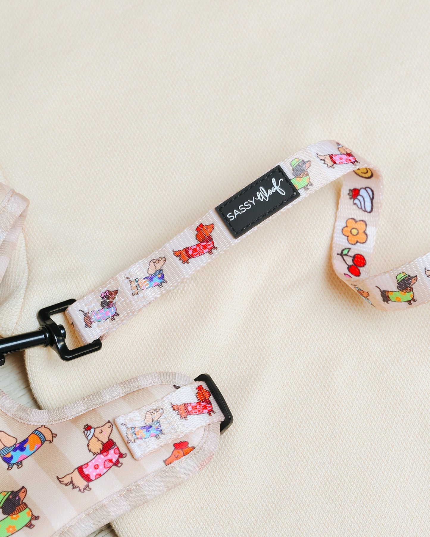 Dog Leash - Sunbean