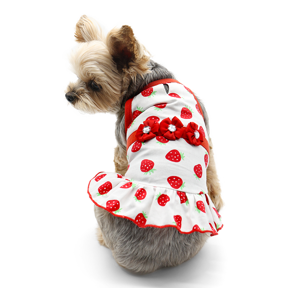 Vestido de perro con forma de fresa