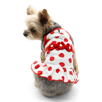 Vestido de perro con forma de fresa