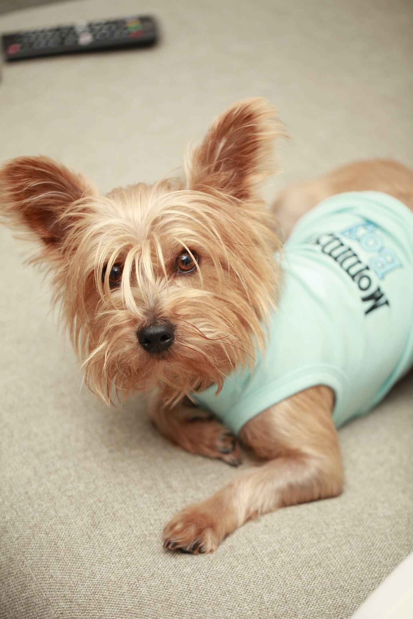 Mommy's Boy Dog T-Shirt