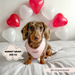 Luxe Adjustable Neck Dog Harness - Baby Pink Heart