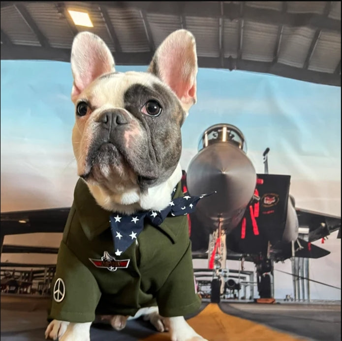 Top Gun Look Dog Outfit Pilot Shirt, Scarf, & Glasses Costume