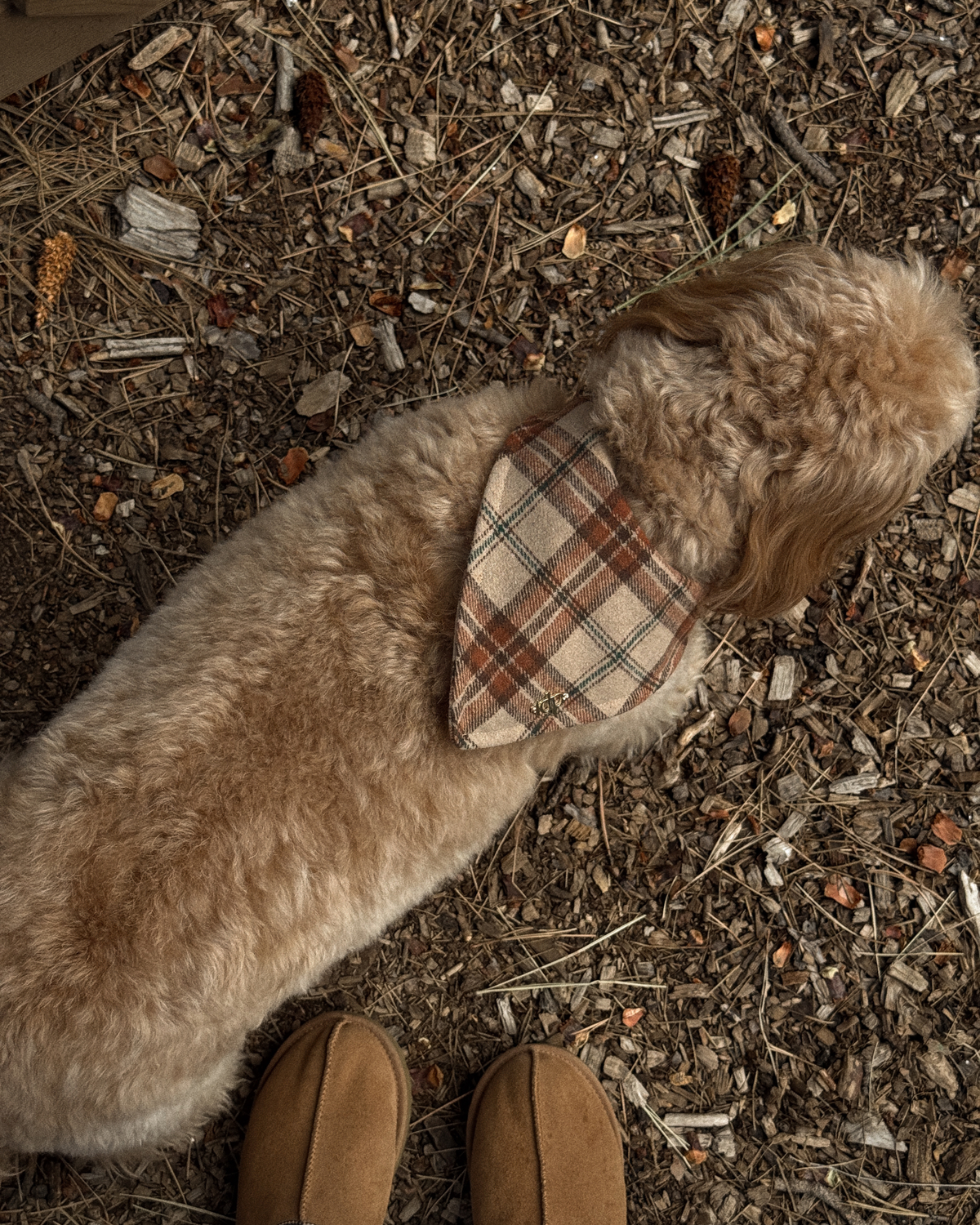 Cabin Plaid Bandana