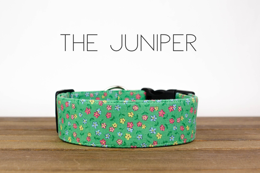 Juniper Dog Collar