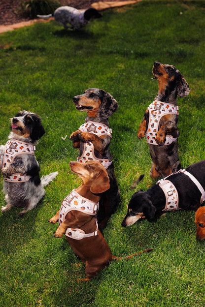 Dog Adjustable Harness - Weens Club