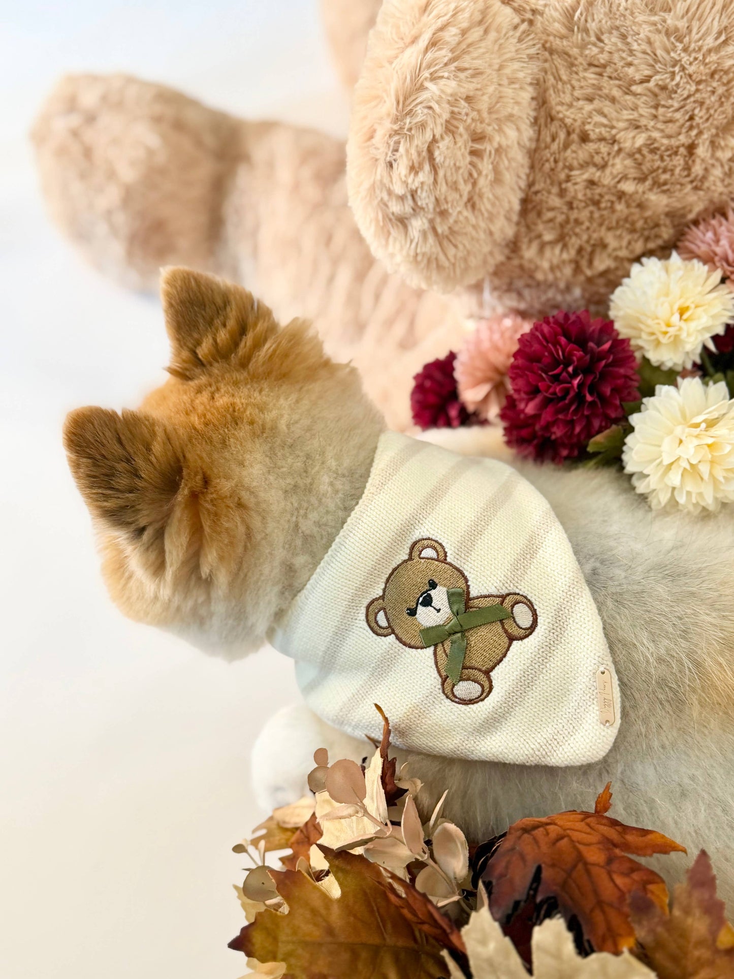 Teddy Bandana