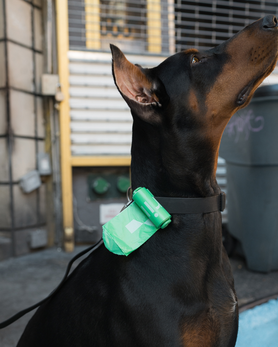 Premium Dog Poop Waste Bag Dispenser & Refill Roll
