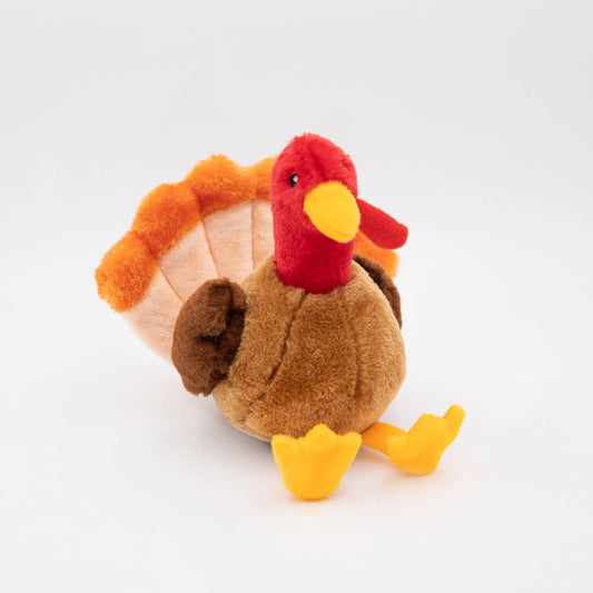 Tucker the Turkey