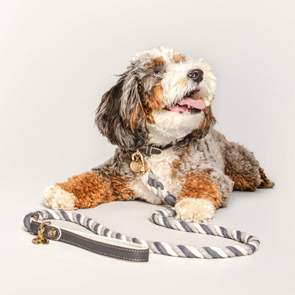 Shades of Grey Rope Leash