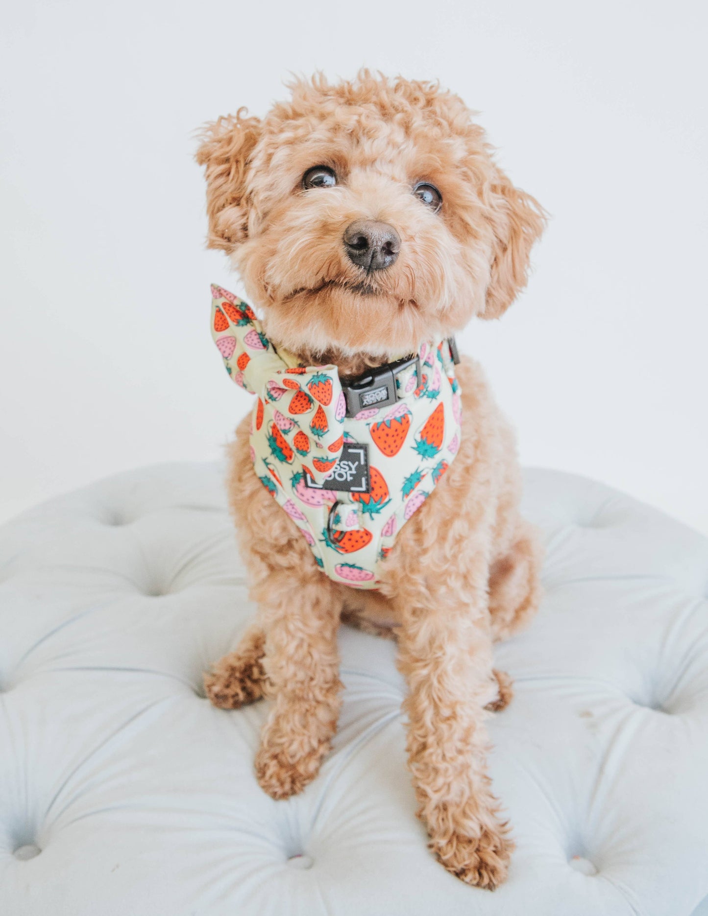 Dog Bowtie - Strawberry Fields Furever