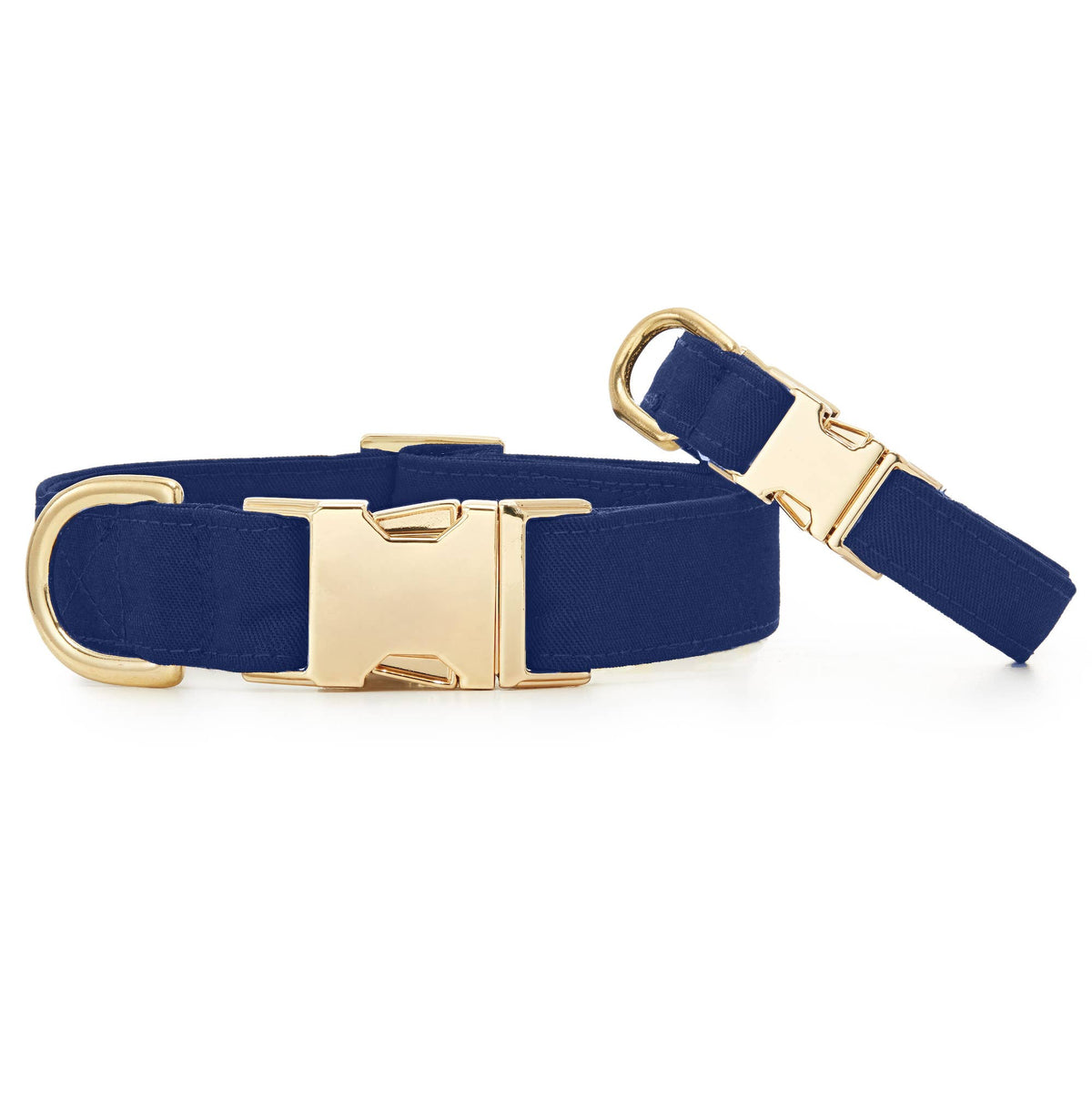 Collar para perro Ocean: S/Oro