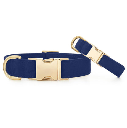 Collar para perro Ocean: S/Oro
