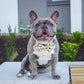 Taco Fiesta Dog Bow Tie