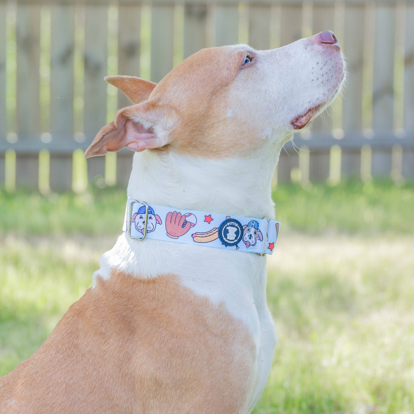 Pittch Perfect Collar