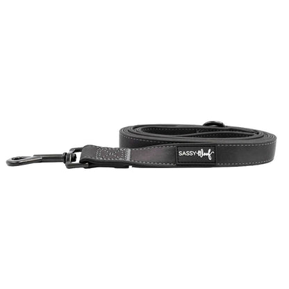 Reflection Dog Leash