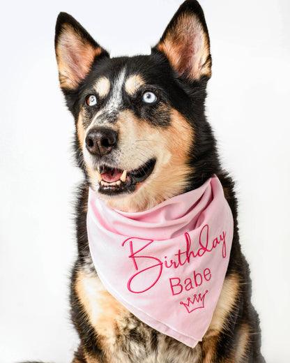 Embroided Birthday Babe Bandana