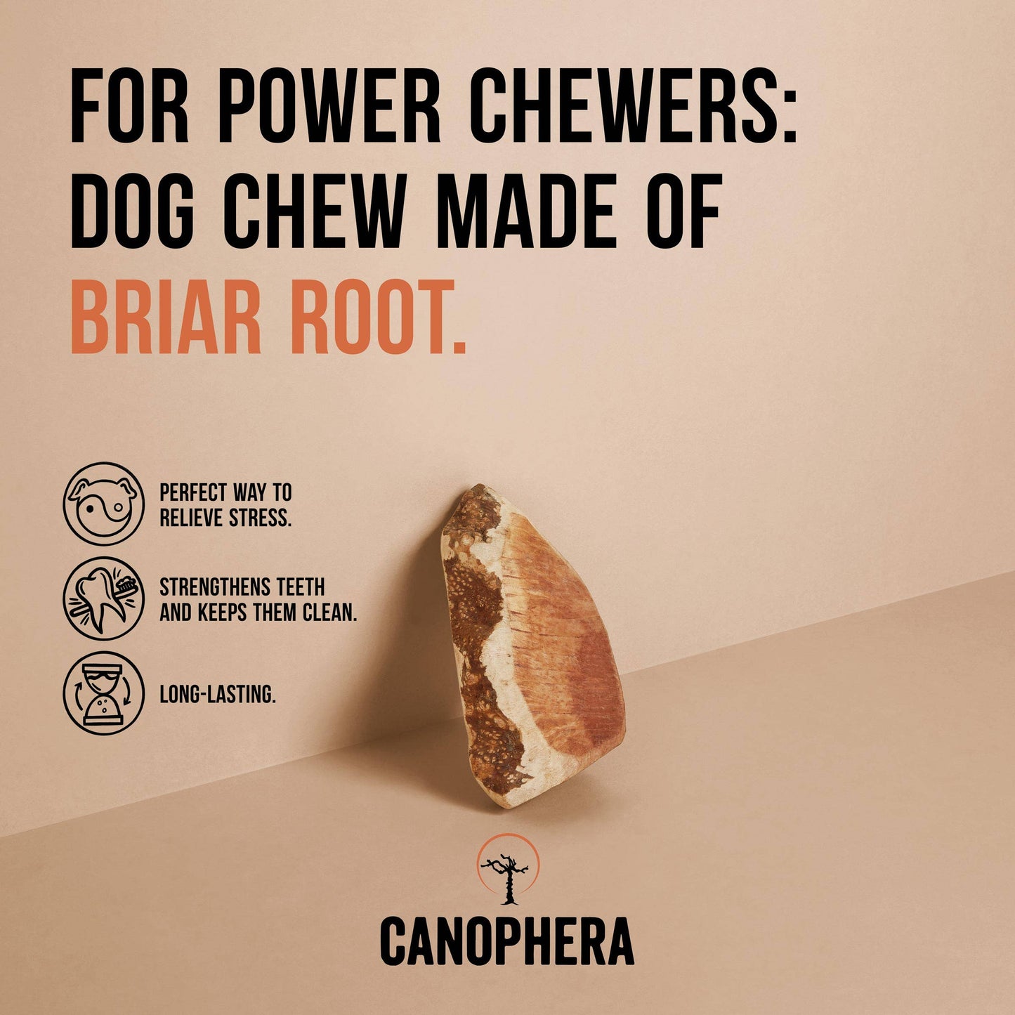 Dog Chew Made of Briar Root